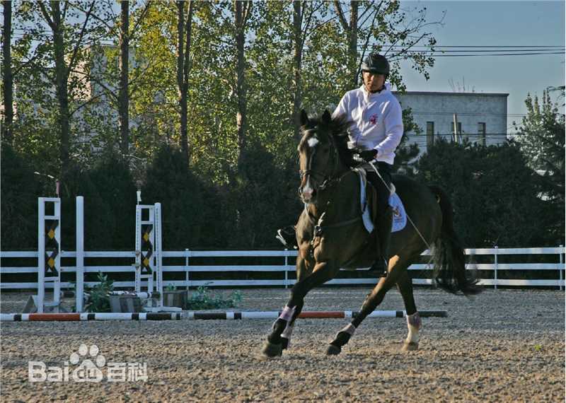 《濮存昕》个人生活