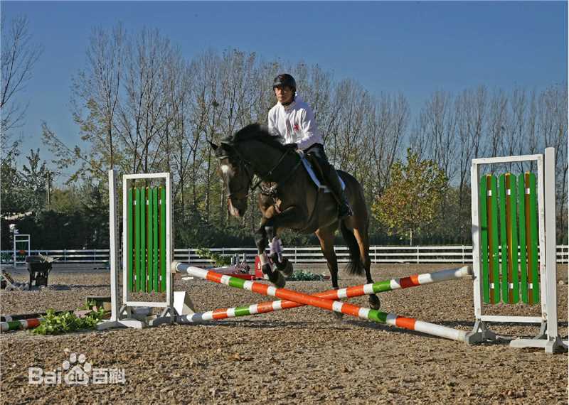 《濮存昕》个人生活