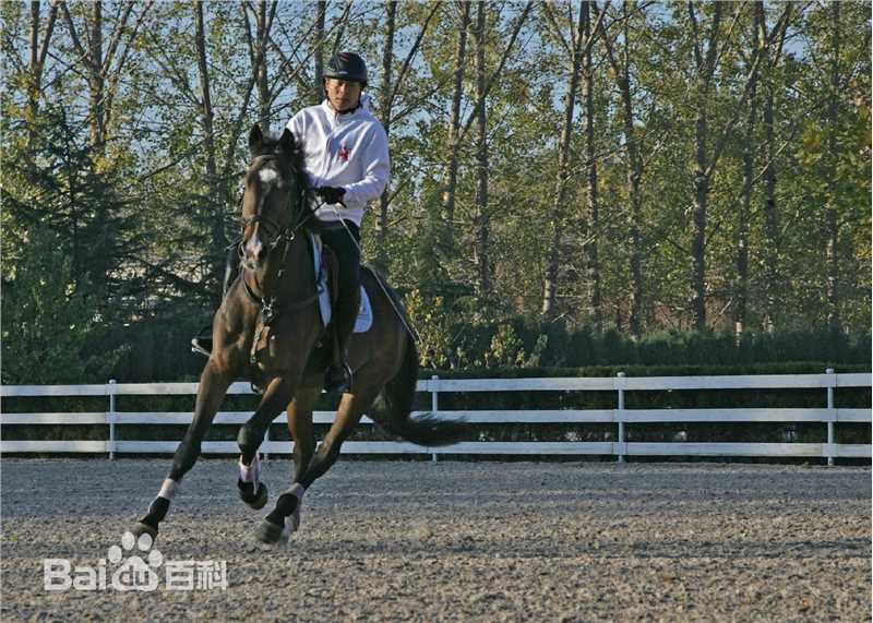 《濮存昕》个人生活