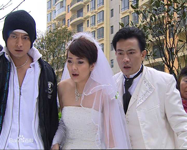 斯琴高丽(si qin gao li)参演影视作品（2005—2016）图册