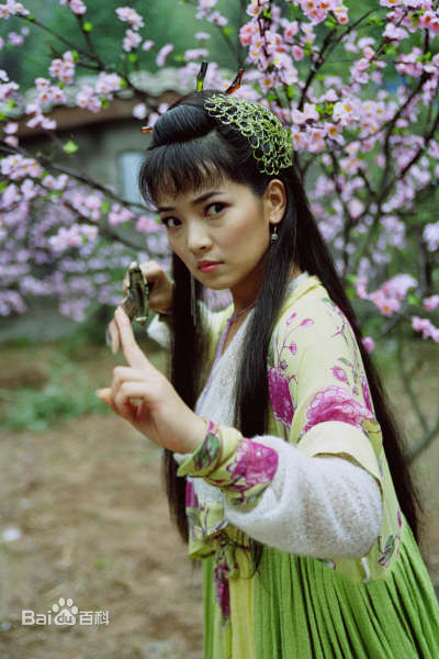 斯琴高丽(si qin gao li)参演影视作品（2005—2016）图册