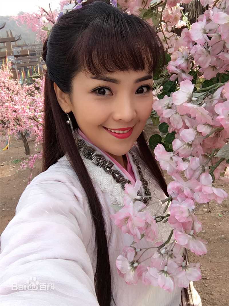 最全斯琴高丽(si qin gao li)壁纸