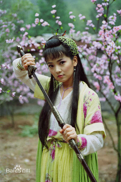 斯琴高丽(si qin gao li)2005年《侠骨丹心》高清剧照