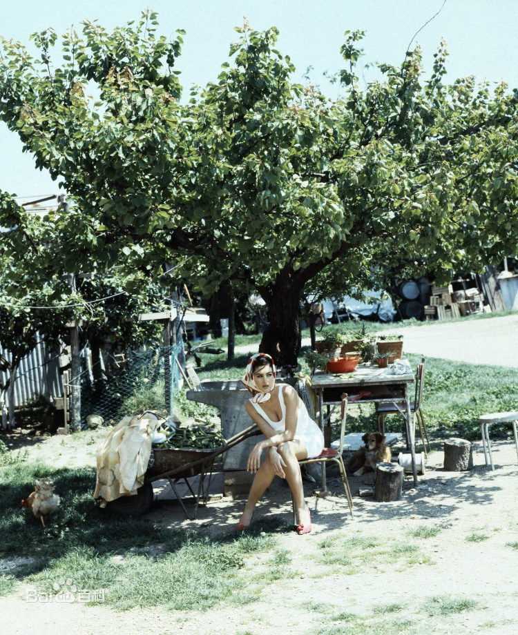 精选莫妮卡·安娜·玛丽亚·贝鲁奇(Monica Anna Maria Bellucci)莫妮卡·贝鲁奇精彩图册