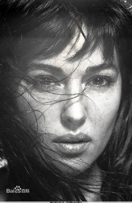 莫妮卡·安娜·玛丽亚·贝鲁奇(Monica Anna Maria Bellucci)精彩图册1