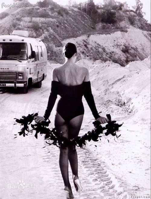 莫妮卡·安娜·玛丽亚·贝鲁奇(Monica Anna Maria Bellucci)精彩图册1