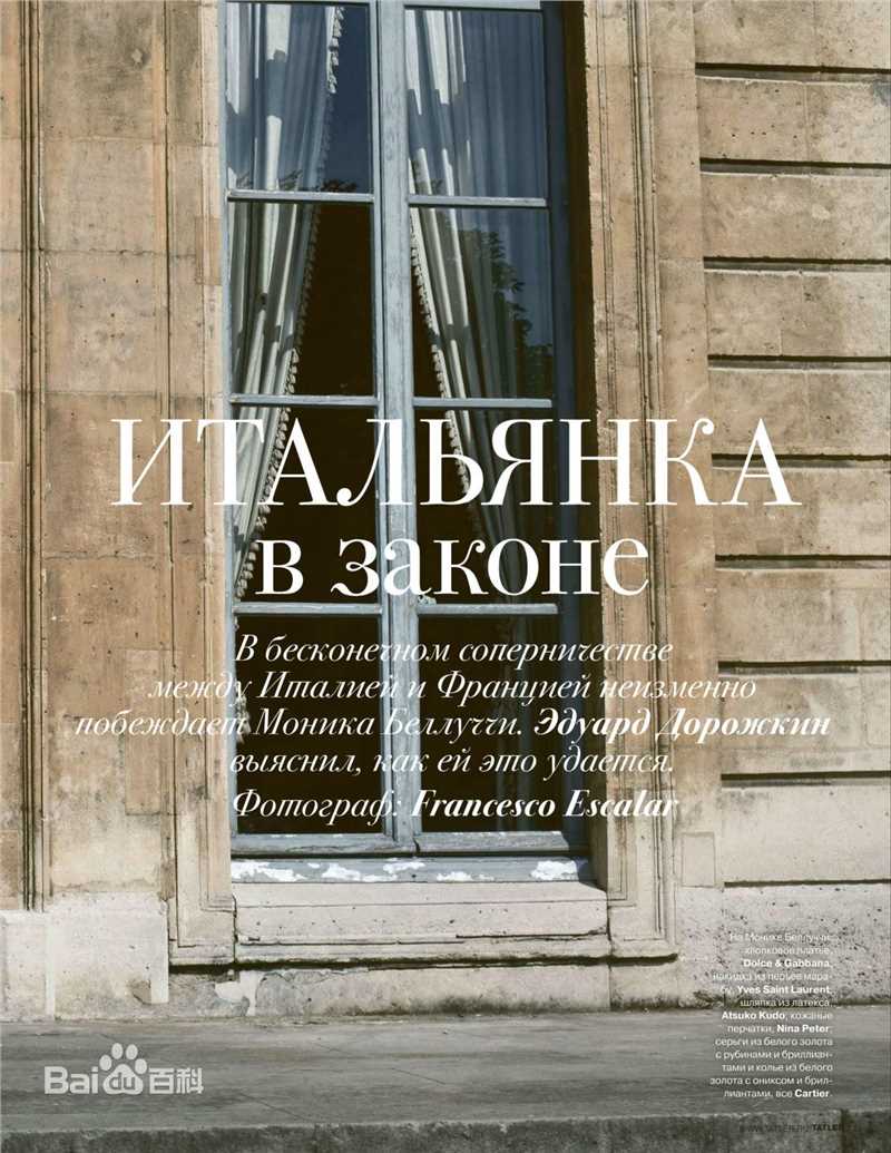 精选莫妮卡·安娜·玛丽亚·贝鲁奇(Monica Anna Maria Bellucci)莫妮卡·贝鲁奇精彩图册