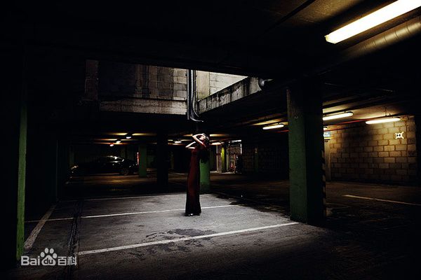 莫妮卡·安娜·玛丽亚·贝鲁奇(Monica Anna Maria Bellucci)精彩图册4