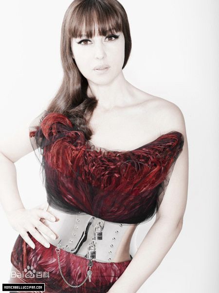 精选莫妮卡·安娜·玛丽亚·贝鲁奇(Monica Anna Maria Bellucci)精彩图册1