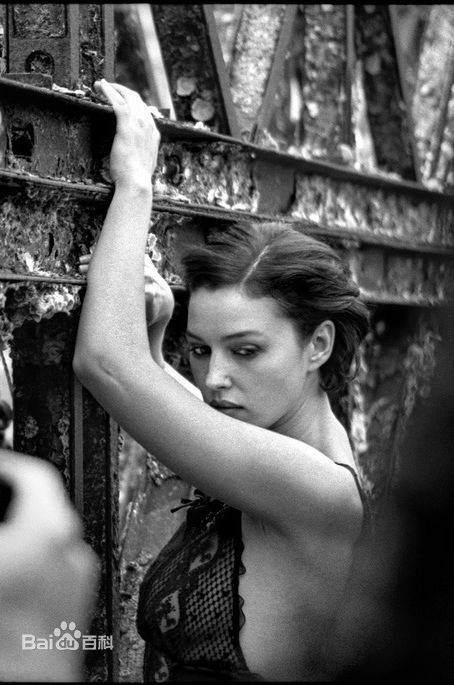 精选莫妮卡·安娜·玛丽亚·贝鲁奇(Monica Anna Maria Bellucci)精彩图册5
