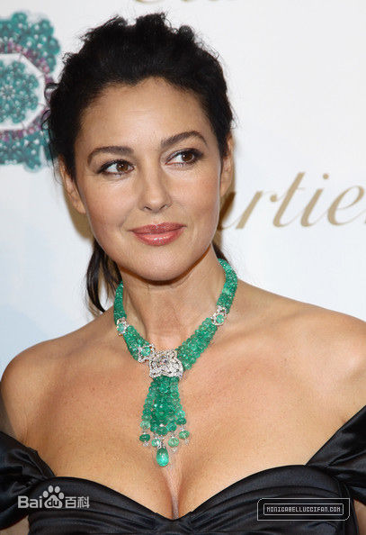 最全莫妮卡·安娜·玛丽亚·贝鲁奇(Monica Anna Maria Bellucci)精彩图册1