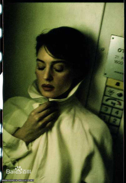 最全莫妮卡·安娜·玛丽亚·贝鲁奇(Monica Anna Maria Bellucci)精彩图册4