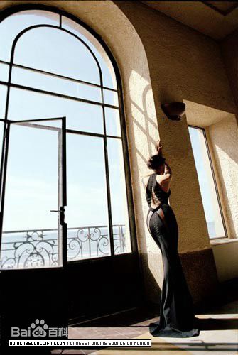 最全莫妮卡·安娜·玛丽亚·贝鲁奇(Monica Anna Maria Bellucci)精彩图册4