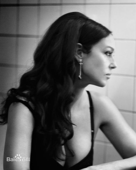 高清莫妮卡·安娜·玛丽亚·贝鲁奇(Monica Anna Maria Bellucci)精彩图册1