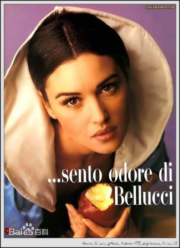 精选莫妮卡·安娜·玛丽亚·贝鲁奇(Monica Anna Maria Bellucci)精彩图册2