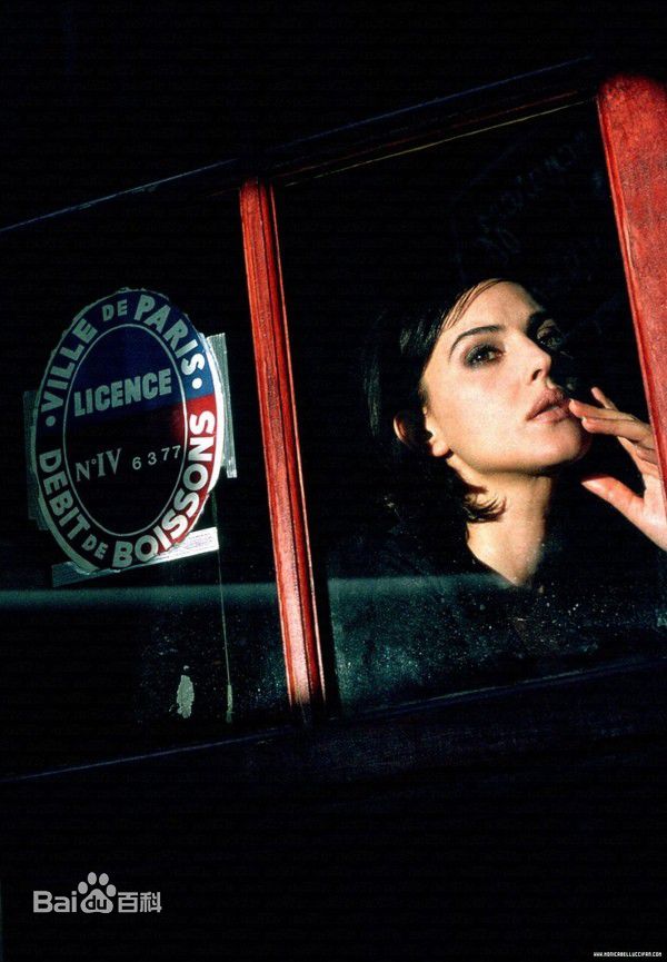 精选莫妮卡·安娜·玛丽亚·贝鲁奇(Monica Anna Maria Bellucci)精彩图册2