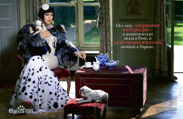 精选莫妮卡·安娜·玛丽亚·贝鲁奇(Monica Anna Maria Bellucci)精彩图册2