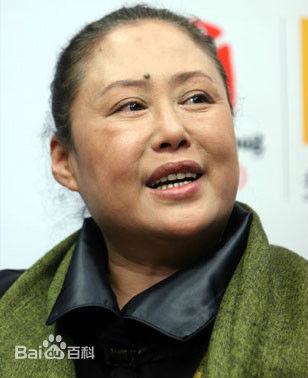 精选斯琴高娃(Сэцэн Гоа)