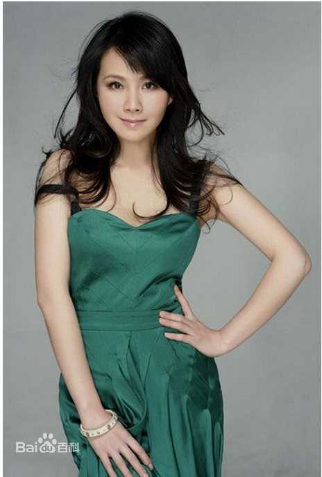 《何琳》封面图片