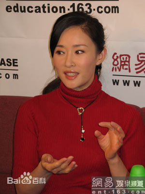 盖丽丽(Gai Lili)接受访问照图片图集