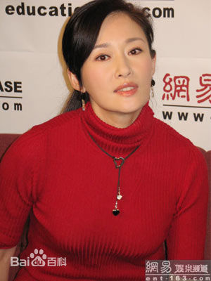 盖丽丽(Gai Lili)接受访问照图片图集