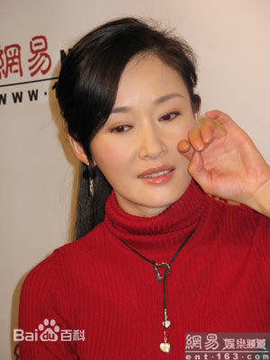 盖丽丽(Gai Lili)出席活动壁纸壁纸