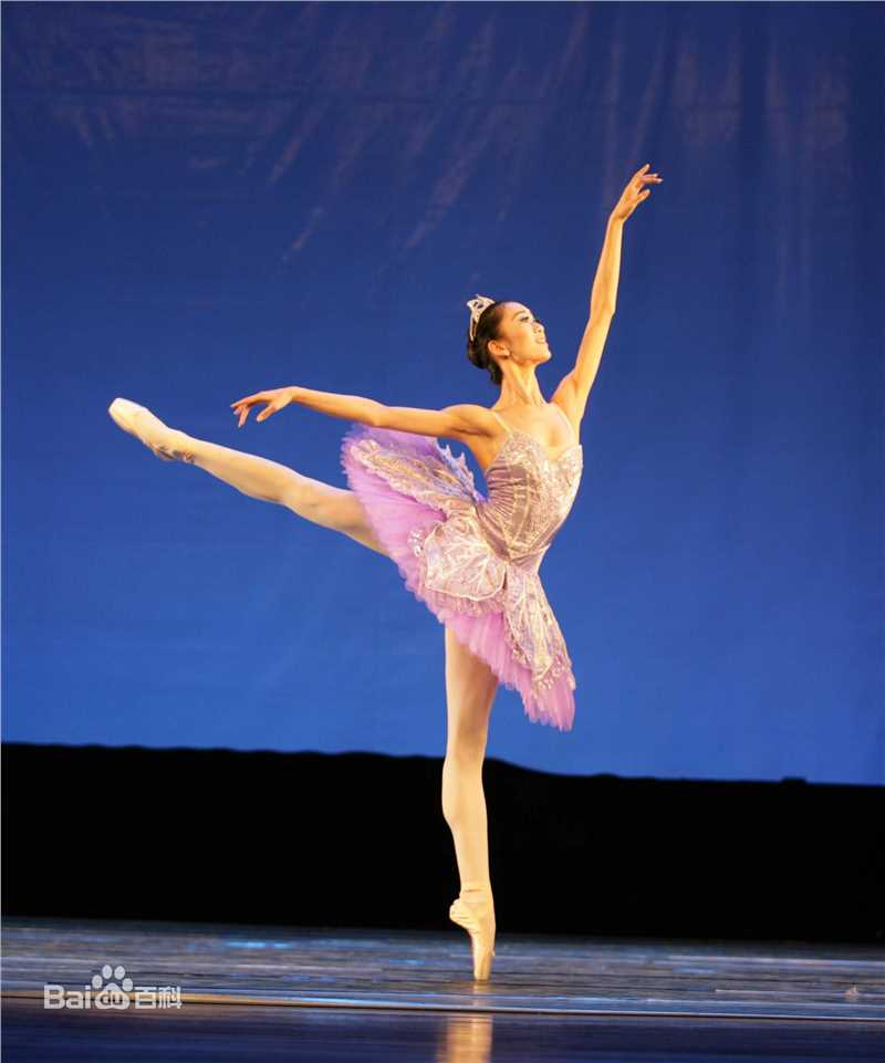 盖丽丽(Gai Lili)前后照片