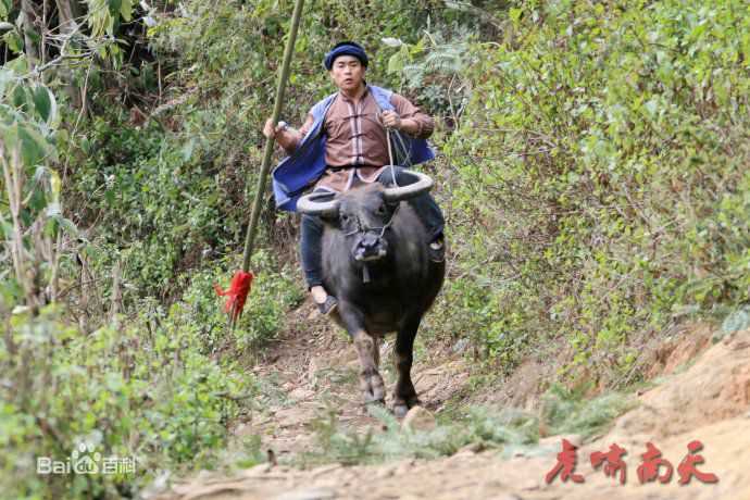 徐瑞阳精彩剧照