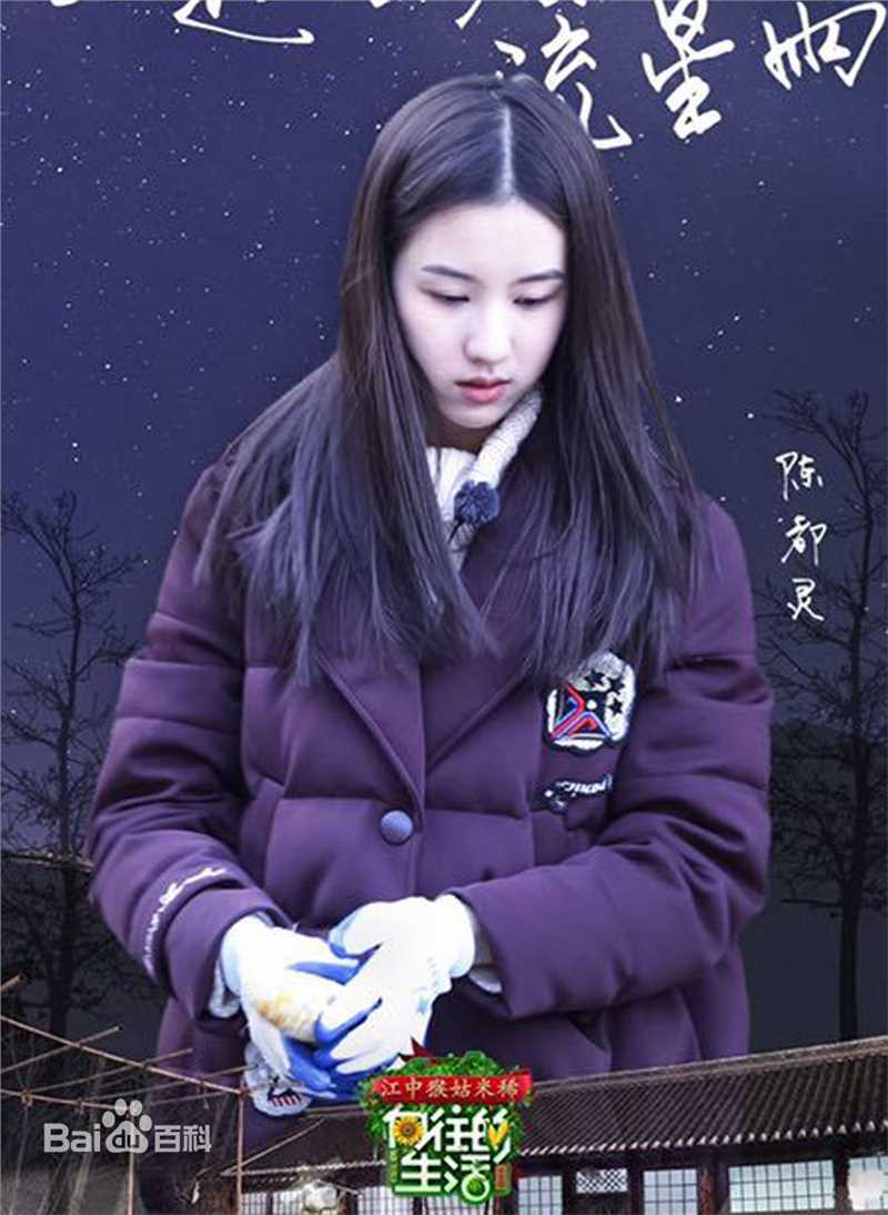 《向往的生活》