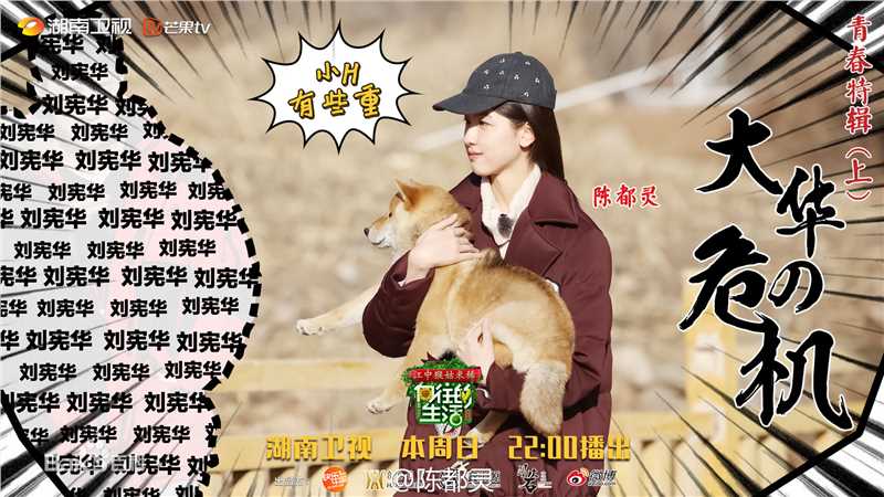 《向往的生活》