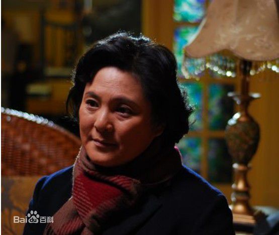 《张芝华》精彩图册