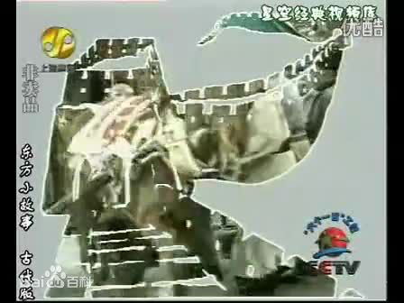 《张芝华》封面图片