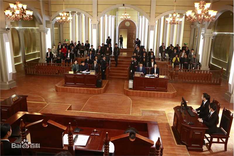 《张芝华》封面图片