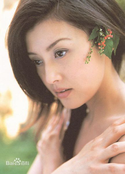 藤原纪香(ふじわらのりか(Norika Fujiwara))最新壁纸