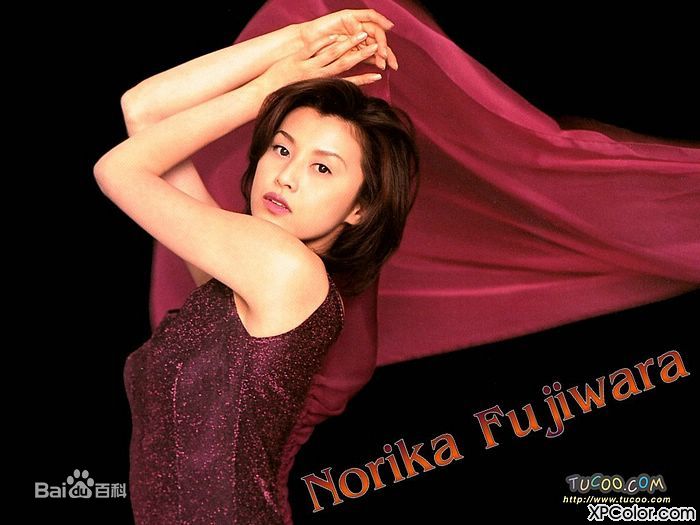 藤原纪香(ふじわらのりか(Norika Fujiwara))最新壁纸