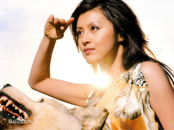 藤原纪香(ふじわらのりか(Norika Fujiwara))最新壁纸