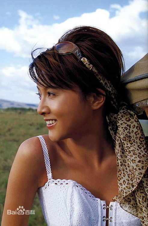 藤原纪香(ふじわらのりか(Norika Fujiwara))最新壁纸