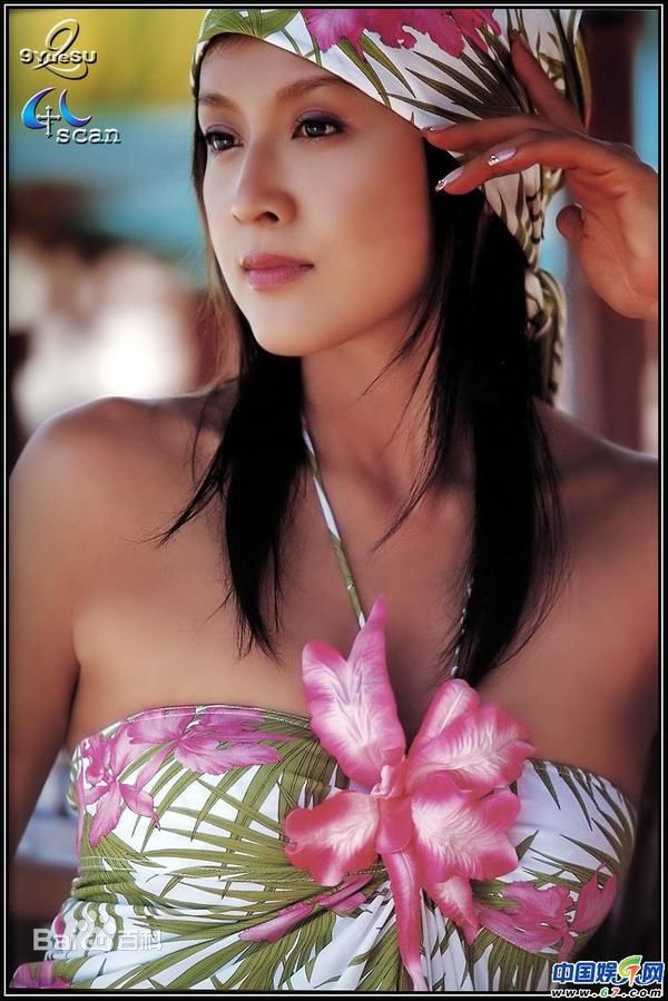 藤原纪香(ふじわらのりか(Norika Fujiwara))最新壁纸