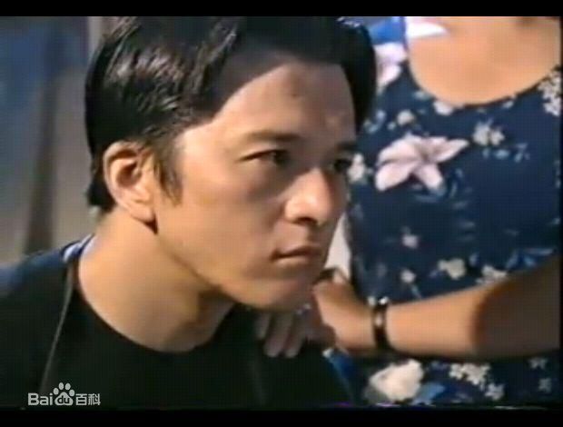 《贾宏声》精彩图册