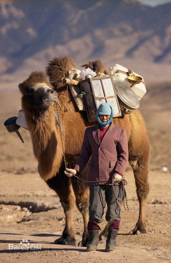 《图雅的婚事》剧照