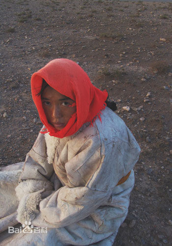 《图雅的婚事》剧照