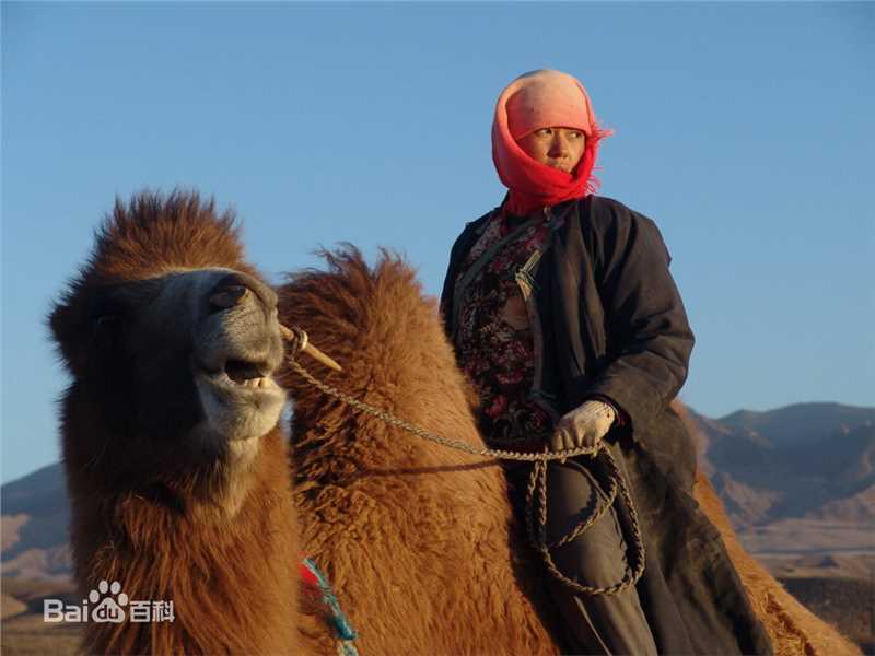 《图雅的婚事》剧照
