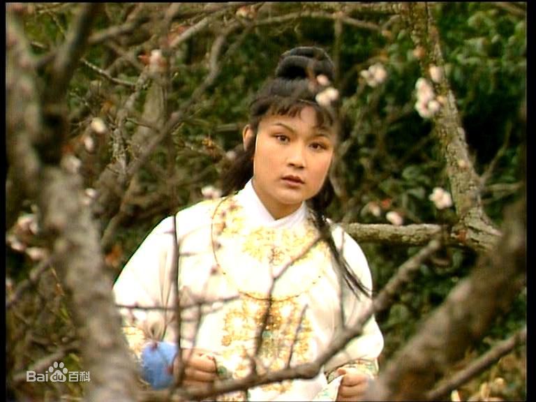 欧阳奋强饰演的贾宝玉