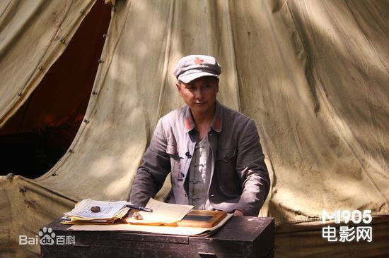 《王文杰》封面图片