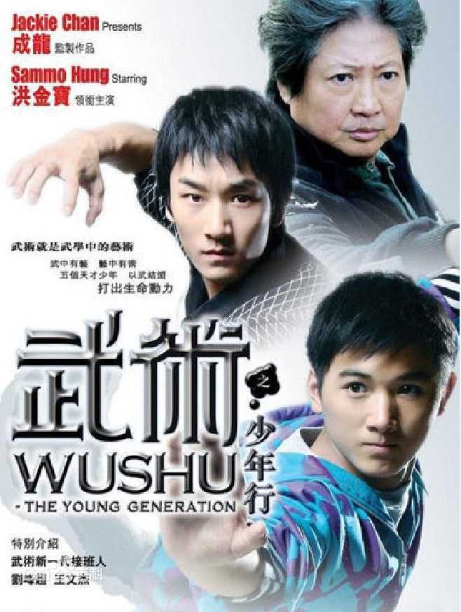 《王文杰》封面图片