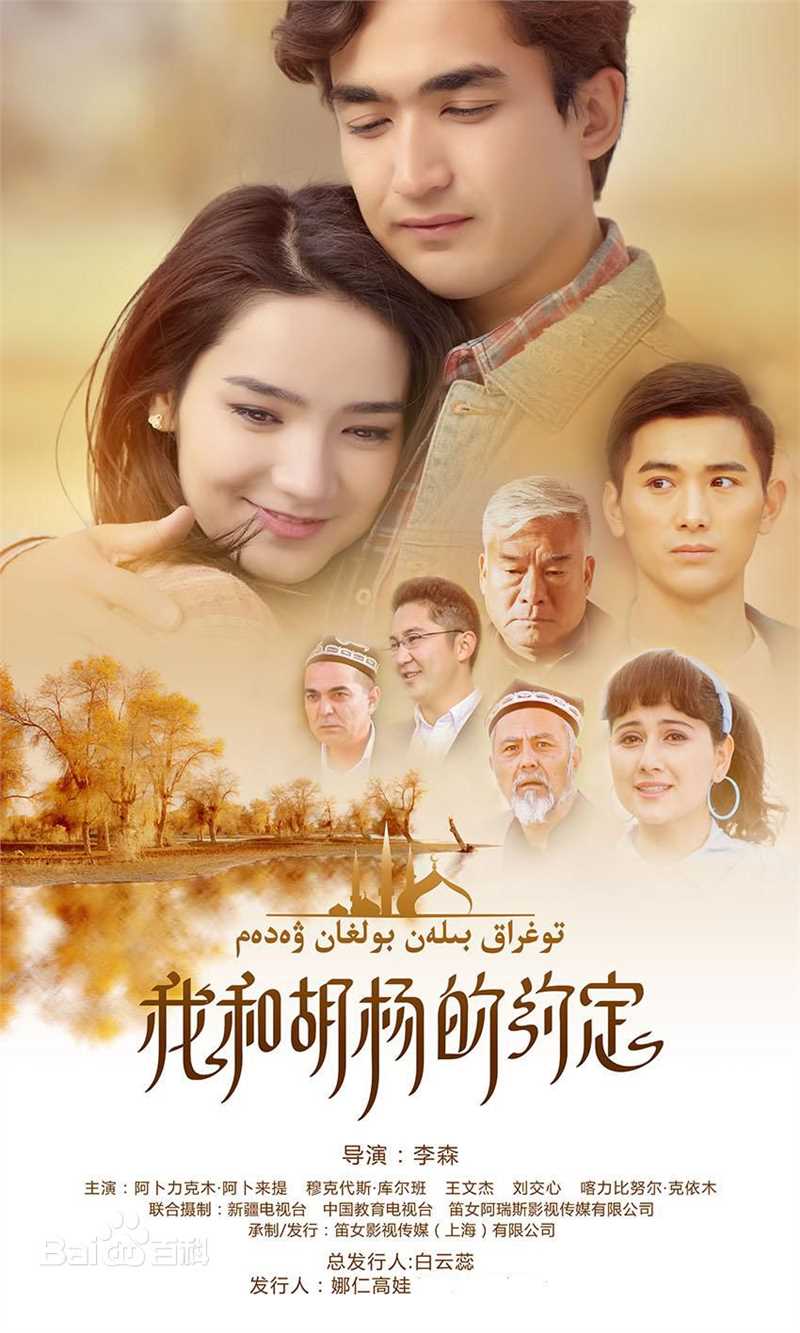 《王文杰》封面图片