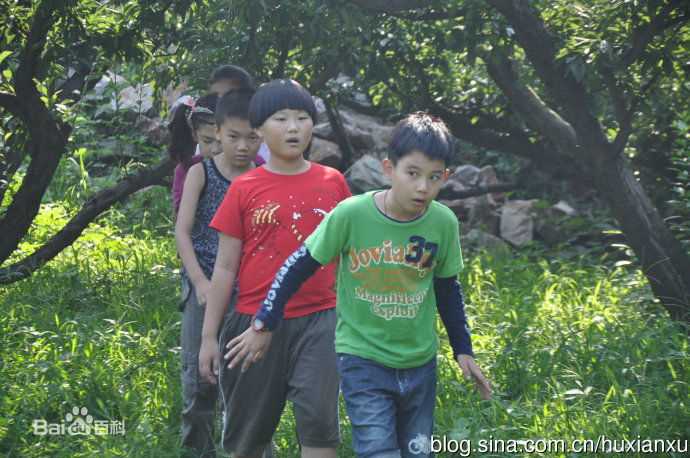 《胡先煦》封面图片