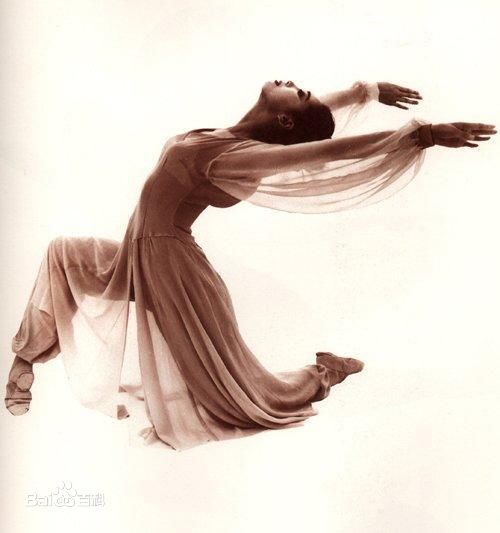 《沈培艺》精彩图册