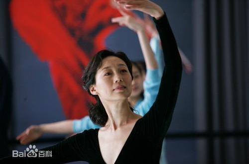 《沈培艺》封面图片