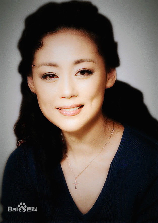 《沈培艺》封面图片